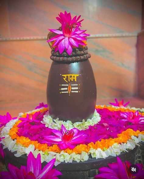 narmadeshwar shivling welcome